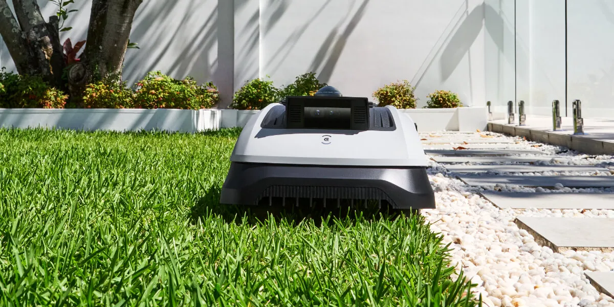 How to Mow a Lawn Step by Step for a Perfect Finish?