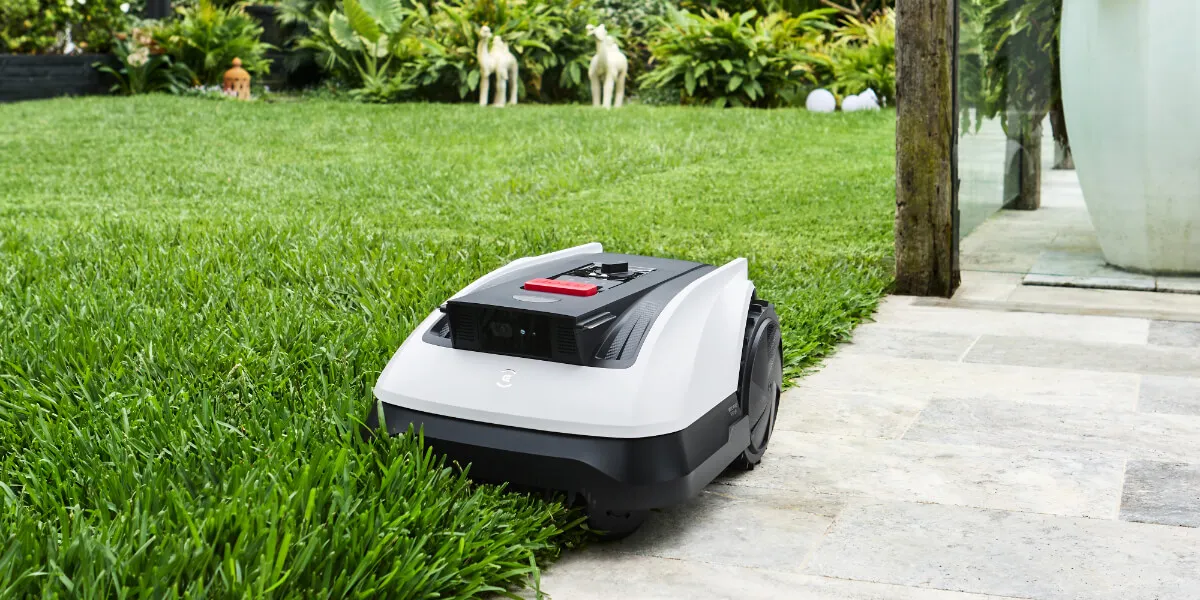 robot lawn mower cutting overgrown grass