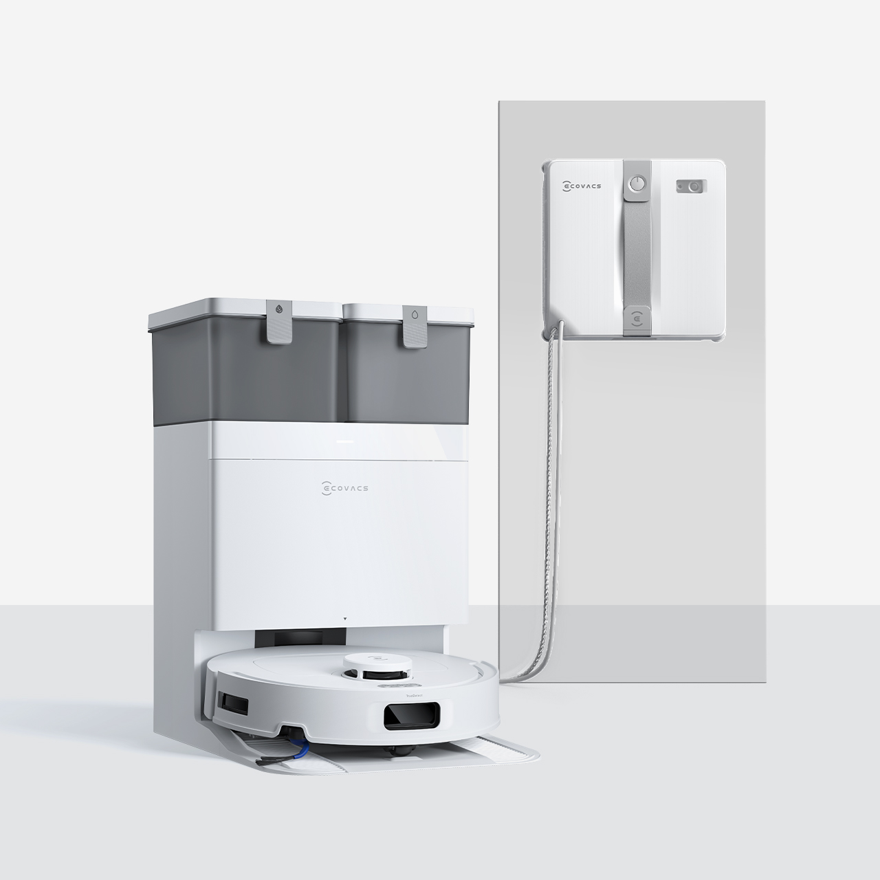 DEEBOT T30C+WINBOT MINI