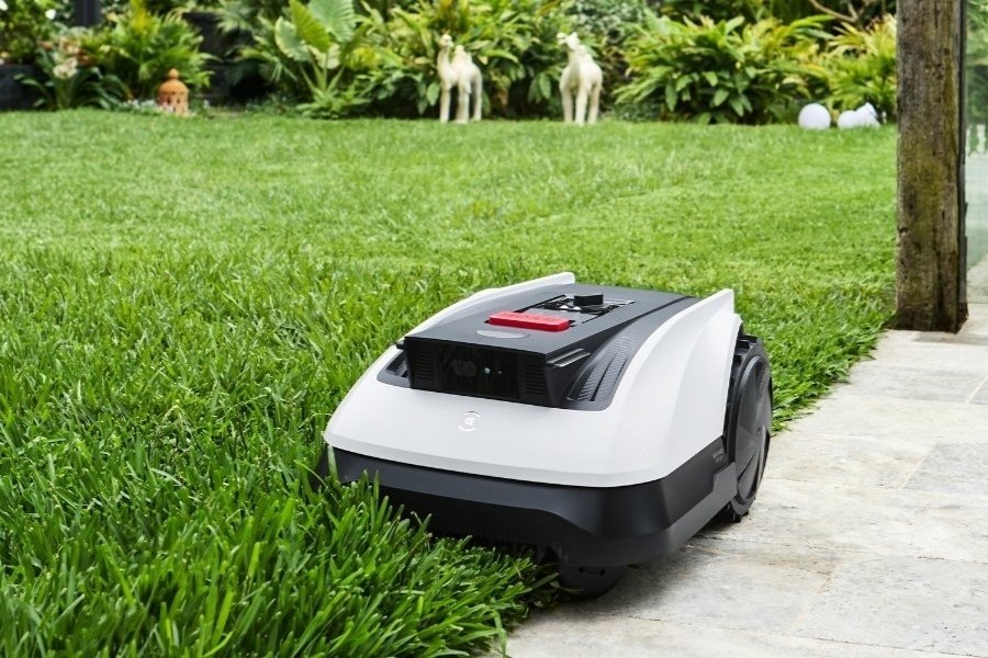 goat robot lawn mower trimming grass in the garden