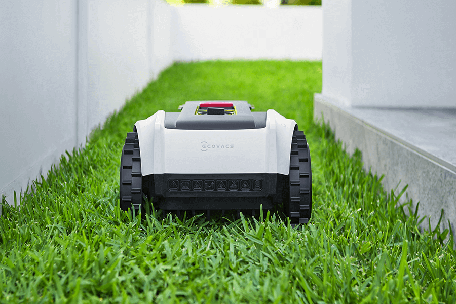 goat robot lawn mower cut grass in the morning