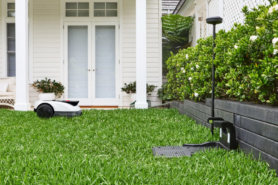 goat robot lawn mower mowing grass