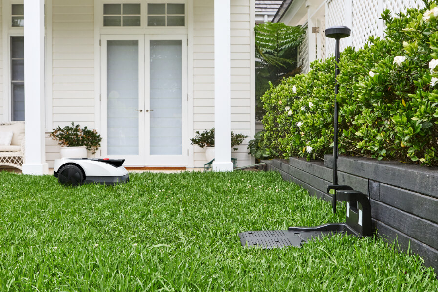 goat lawn mower mowing a backyard