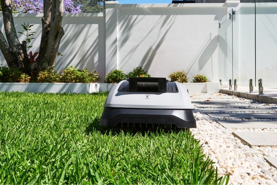 goat robot lawn mower cutting grass