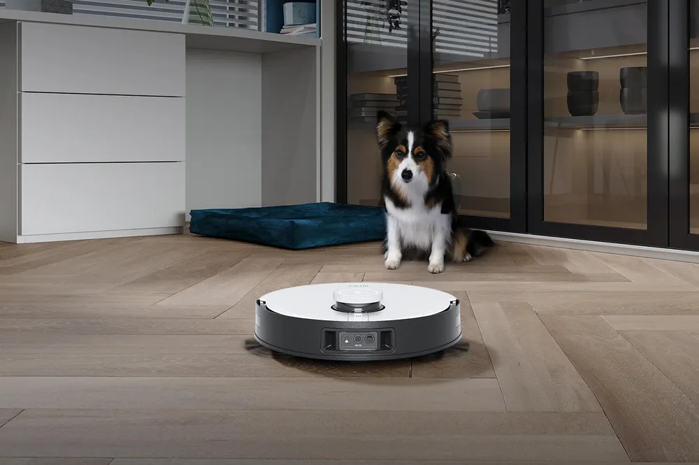 Ailurophile Boon - Tips To Remove Pet Hair From Carpet