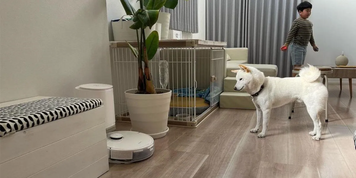 Can Robot Vacuums Avoid Dog Poop And Pet Waste?