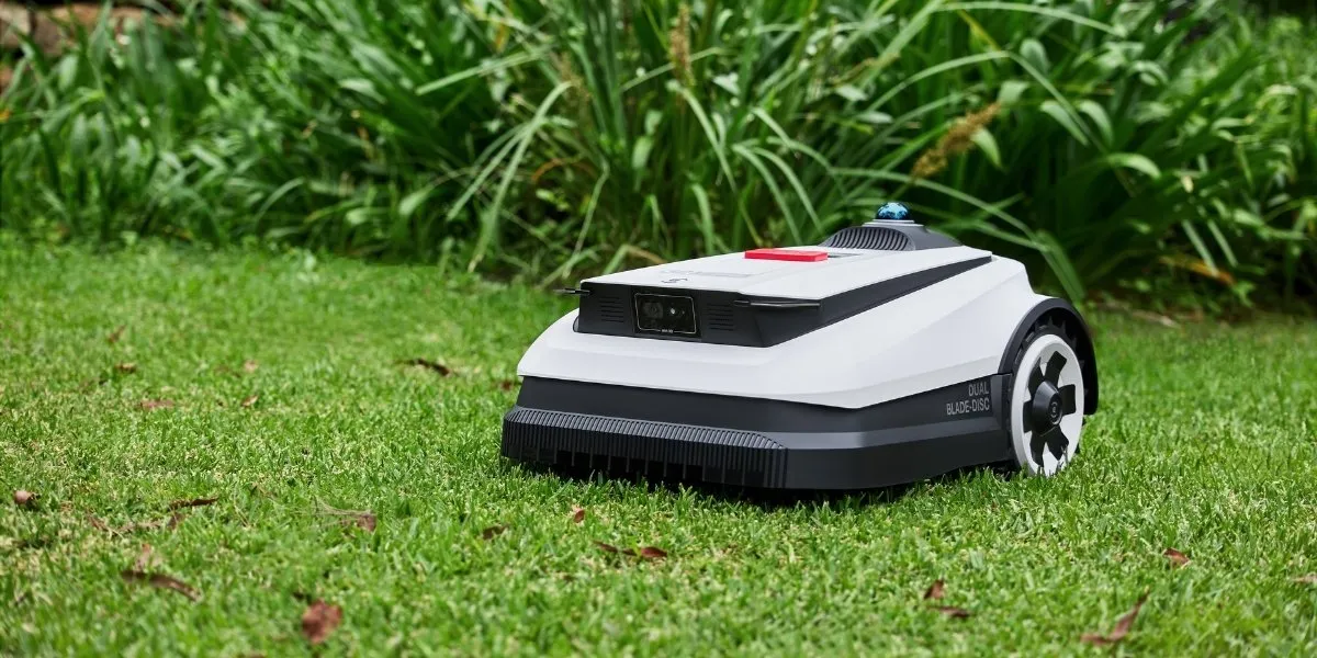 When Is The Best Time To Mow The Lawn?