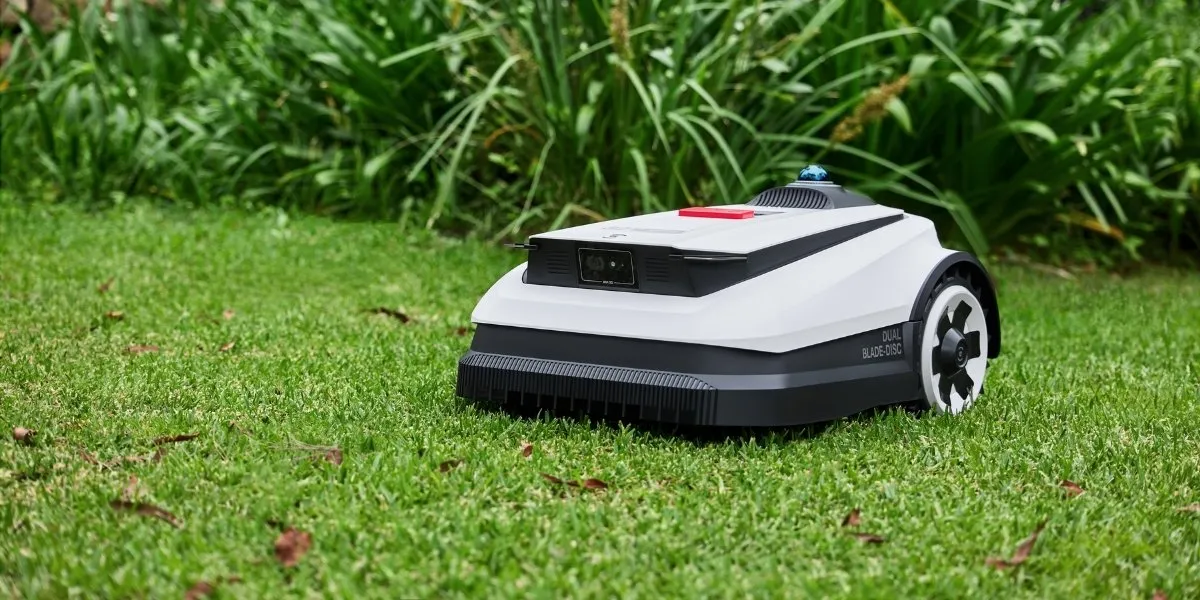 Can You Cut Grass When It’s Wet Without Damaging Your Lawn?