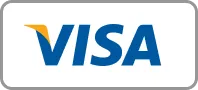 icon of visa