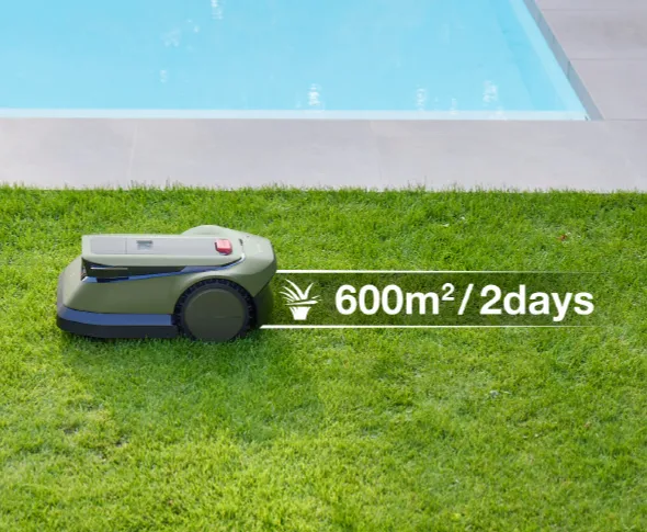 Mowing 600㎡ Lawn within  2 Days