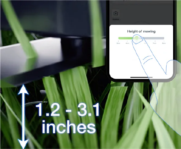 1.2 to 3.1 inches Cutting Height 