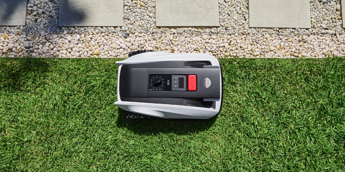 goat robot lawn mower mowing the edge