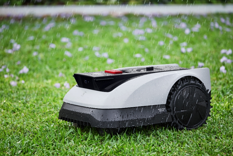 goat robot lawn mower mowing in the rain