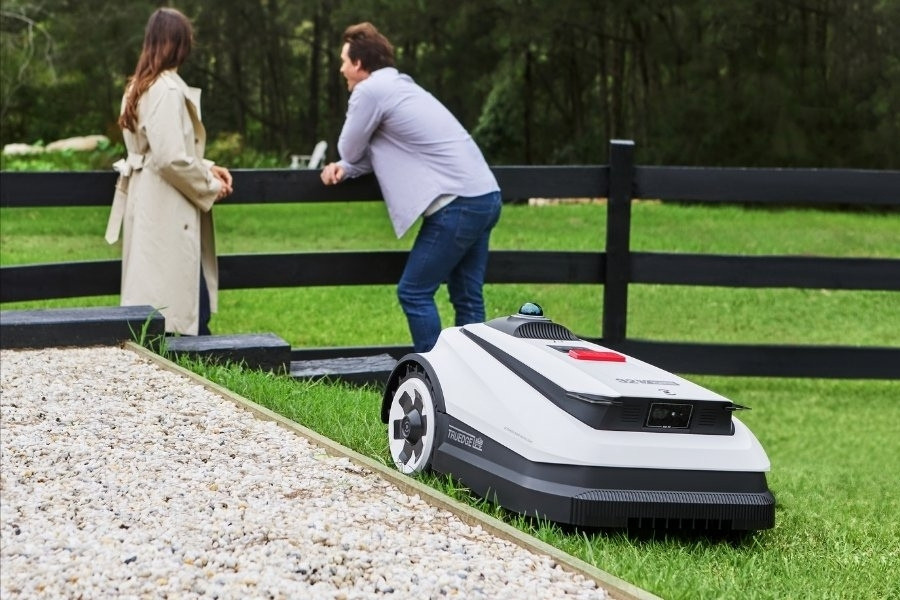 goat lawn mower mowing near a chatting couple