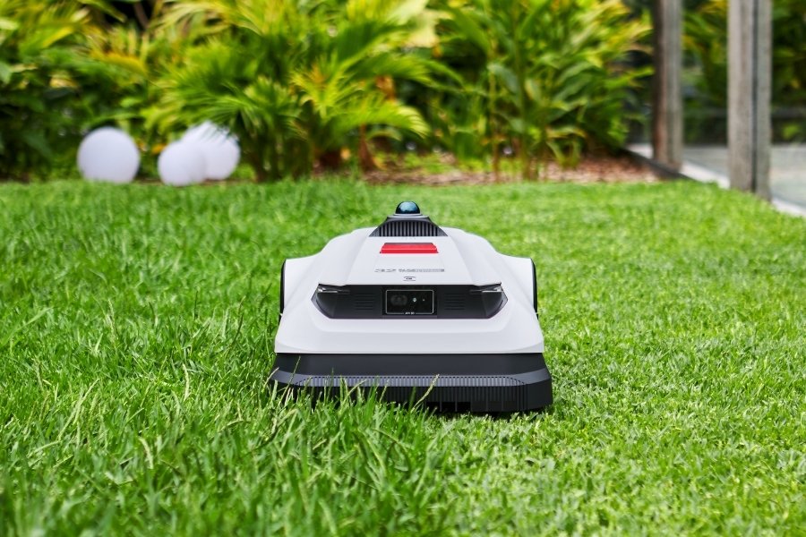 goat lawn mower cutting grass