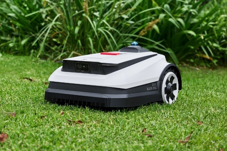 goat robot lawn mower mowing grass